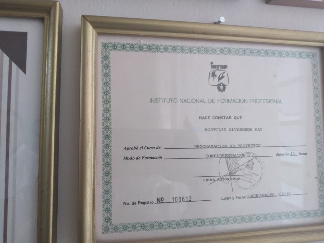 Diploma por Curso de Programación de Proyectos